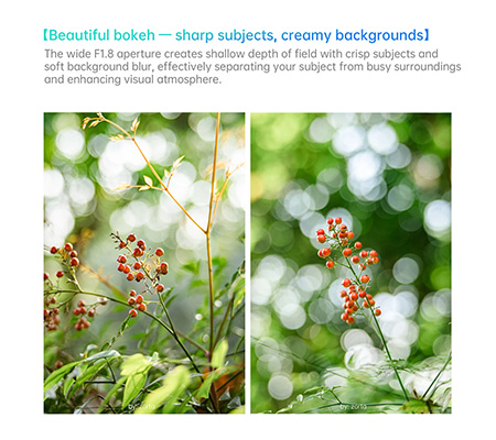 7Artisans AF 50mm f/1.8 for Fujifilm X Mount APSC