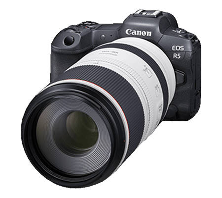 Canon RF 100-500mm f/4.5-7.1L IS USM