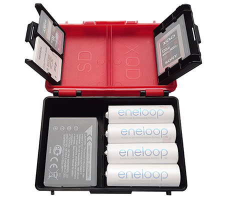 Casell Camera Battery and Memory Case