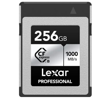 Lexar Professional CFexpress 256GB 1000MB/s Type B Card Silver