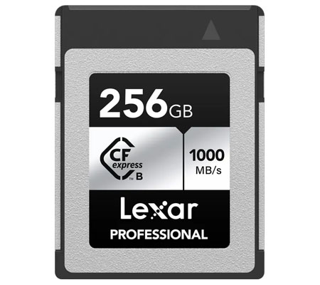 Lexar CFexpress Type B 256GB Professional Card Silver (Read 1000MB/s and Write 600MB/s)