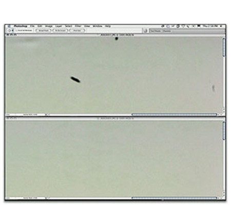 Package 2 - Sensor Cleaning for Mirrorless Camera