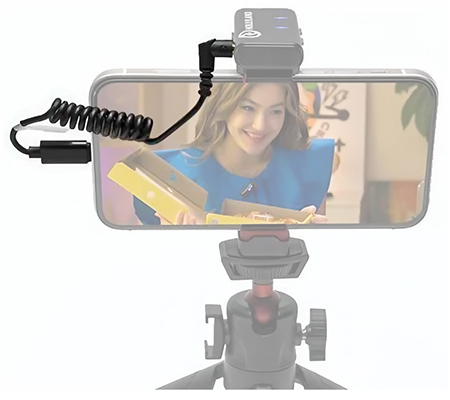 Hollyland Mic Adapter 3.5mm TRS to USB Type-C for Android