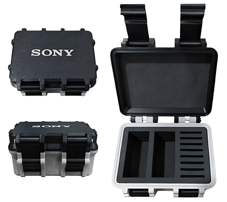 Sony Battery & Memory Case for Sony NP-FZ100 & SD / CFExpress Memory Card