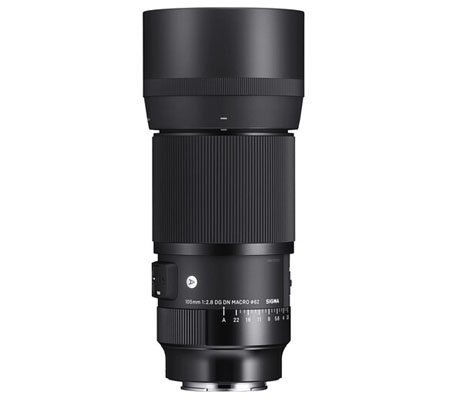 Sigma for Sony E 105mm f/2.8 DG DN Macro Art Lens