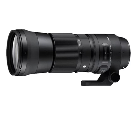 ★日本の職人技★ Sigma 150-600mm EF Canon for Contemporary HSM OS DG f/5-6.3 レンズ(ズーム)