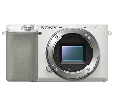 a6100 mirrorless