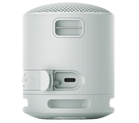 Sony SRS-XB100 Portable Bluetooth Speaker Grey