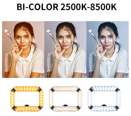 Ulanzi U200 Ring Light Video Rig 2245