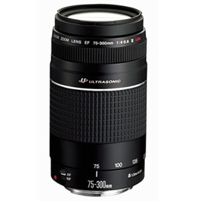 Canon EF 75-300mm f/4-5.6 III USM.