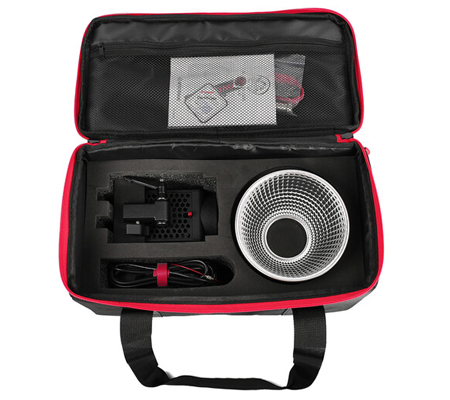 iFootage Anglerfish SL1 60DN LED Video Light with Carry Bag