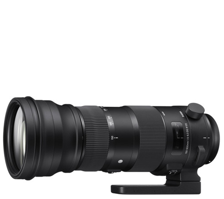 Sigma 150-600mm f/5-6.3 DG OS HSM Sports for Canon EF Mount Full Frame