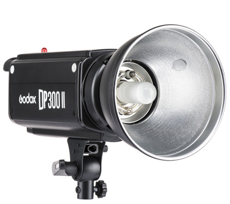 Godox DP300II Flash Head