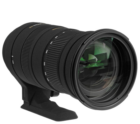 Sigma for Canon 50-500mm f/4.5-6.3 APO DG OS HSM.