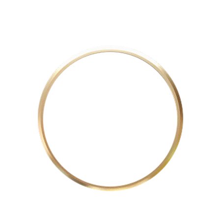 Ricoh Lens Ring Gold