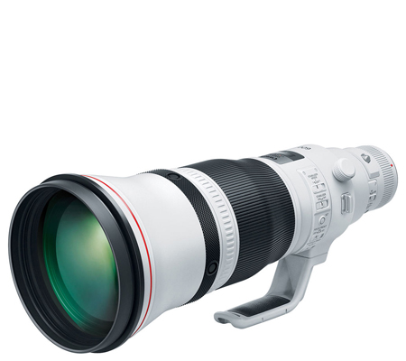 Canon EF 600mm f/4L IS III USM Lens