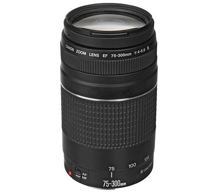 Canon EF 75-300mm f/4-5.6 III