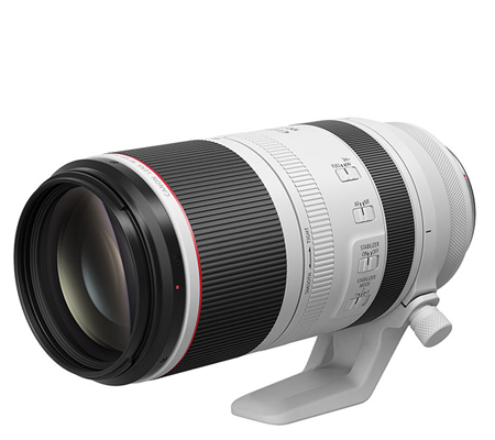 Canon RF 100-500mm f/4.5-7.1L IS USM