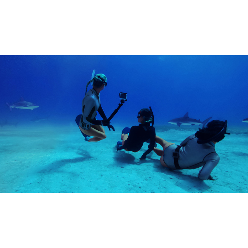 GoPro Protective Housing Waterproof Case for GoPro HERO 13/12/11/10/9 Black (ADDIV-001)