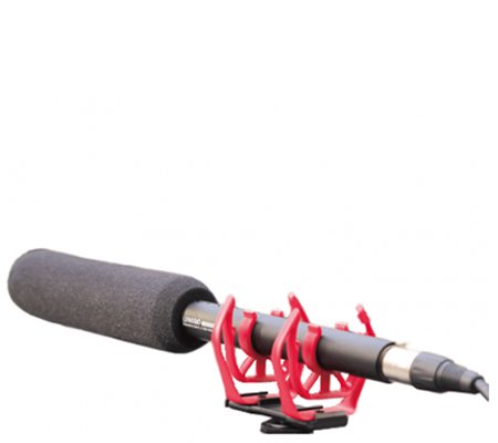 LensGo LYM-DM1000 Cardioid Recording Microphone