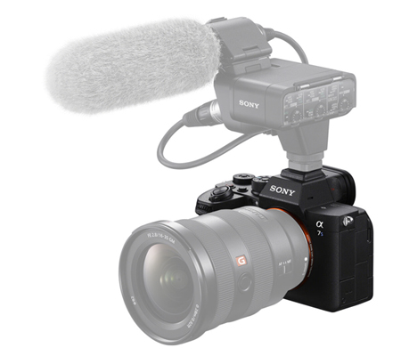 Sony Alpha A7SIII Body