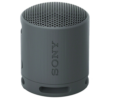 Sony SRS-XB100 Portable Bluetooth Speaker Black