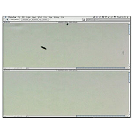 Package 2 - Sensor Cleaning for Medium Format Camera