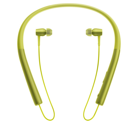 Sony h.ear in Wireless Bluetooth In-Ear Headphones MDR-EX750BT