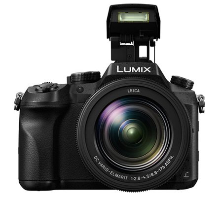 Panasonic Lumix DMC-FZ2500