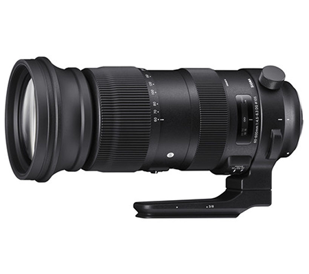 Sigma 60-600mm f/4.5-6.3 DG OS HSM Sport for Nikon F Mount Full Frame